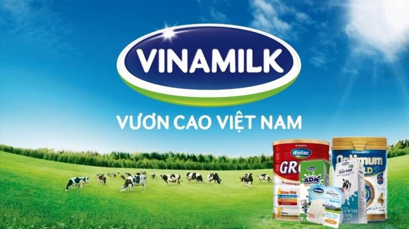 Thương hiệu Việt nổi tiếng toàn cầu